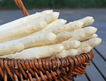 spargel