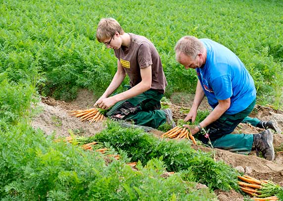 Jobs, Stellenangebote Gemüsehof Bielefeld