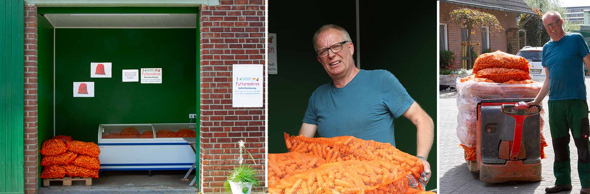 Sack Futtermöhren Hof Bielefeld, Dingden